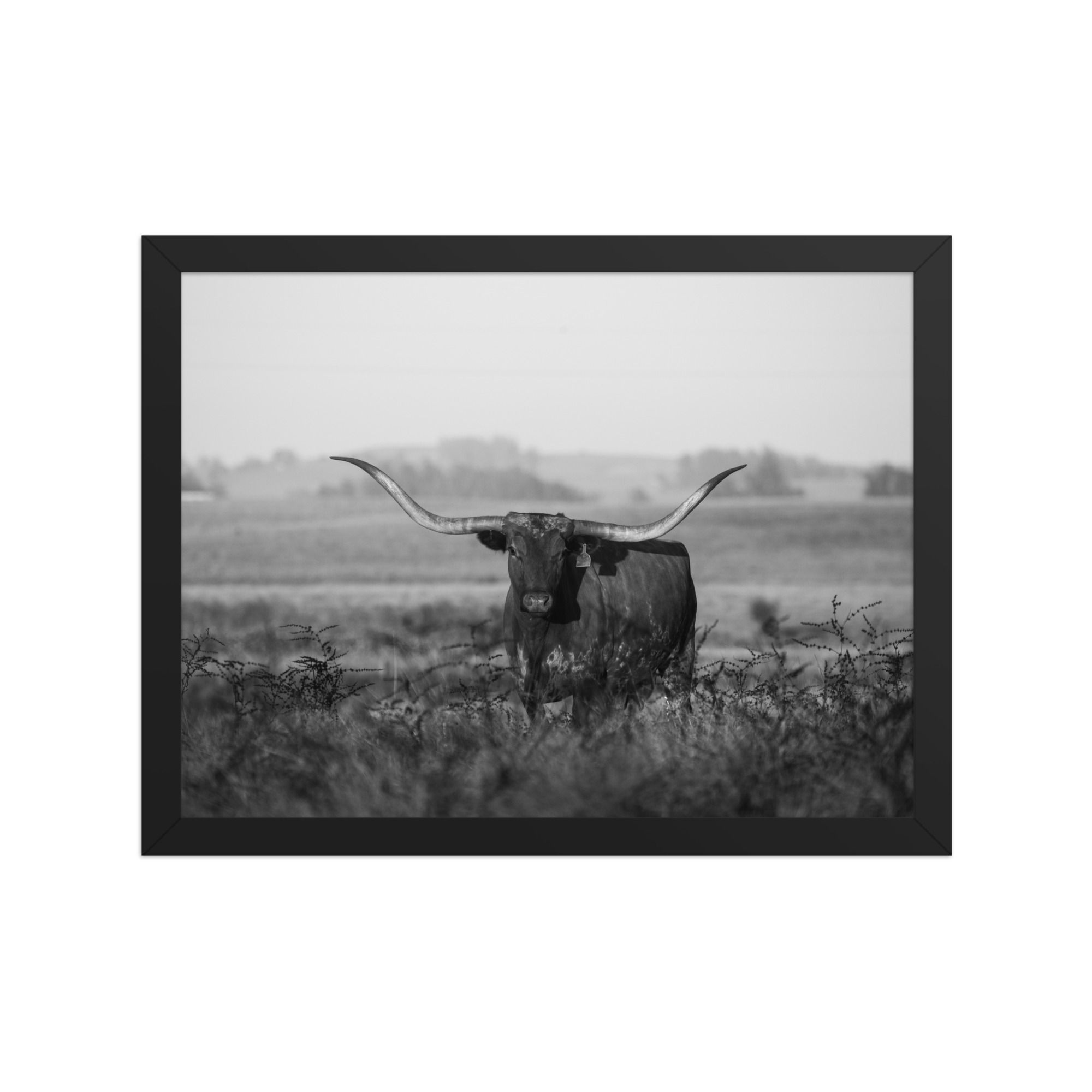 Staring Down The Sunset BW