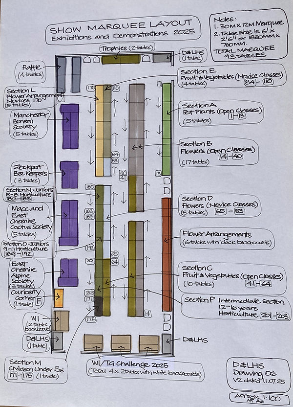 Marquee layout.JPG