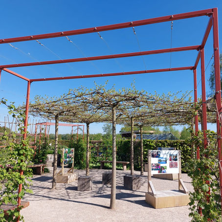 Spring coach trip to RHS Garden Bridgewater