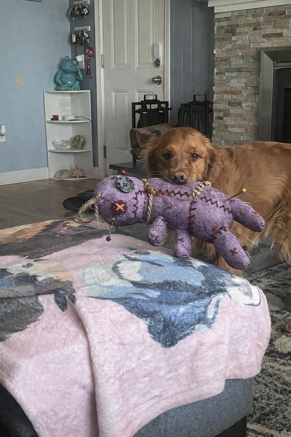 If Anyone Has My Voodoo Doll, Please Stop