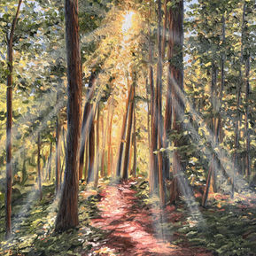 Beneath the Canopy, original Canadian landscape painting by Sue Miller, depicting a forest trail illuminated by sunlight through the trees