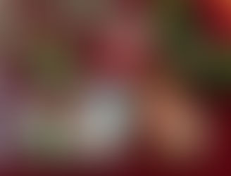 クリスマス・アイシング講座