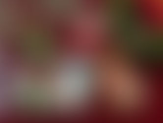 クリスマス・アイシング講座