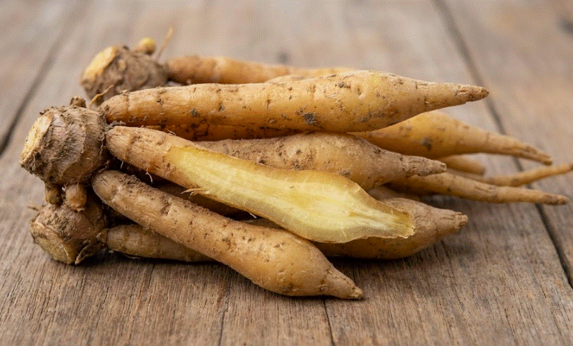 กระชายขาว – โสมแห่งสยาม โล่ป้องกันระบบภูมิคุ้มกัน