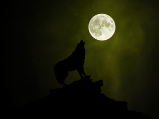 The Wolf Moon- release and make space for the new.