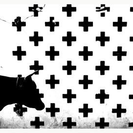 final contrast-01.jpeg
