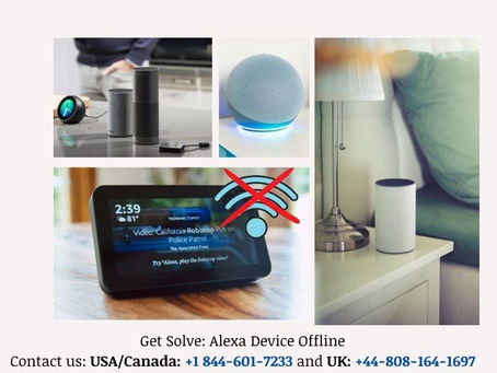 Solved Now “Alexa Offline or Echo Offline” Problem!