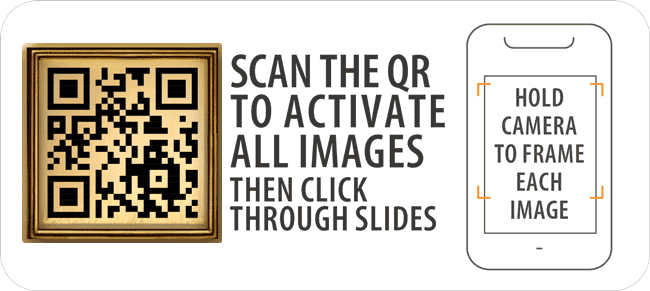 scan-the-qr.gif