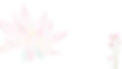 lotus w-3.png