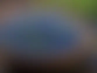 The Secret Healing Powers of Mystique Blue Pea Herbal Tisane: Uncovering the Unknown Health Benefits