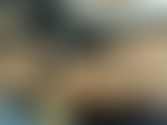 「Wickwerks」チェーンリング53/34及びデュアルサイドチェーンキャッチャーを実機に取り付けてみました!