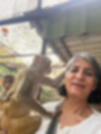 Anu
