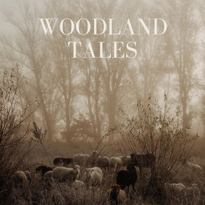 Woodland Tales