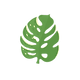 Ícone de folha tropical verde