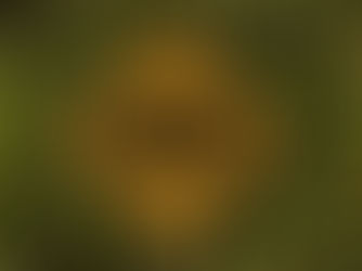 GMO Foods in Nigeria: Balancing Health and Economic Impact Through Regulation and Innovation