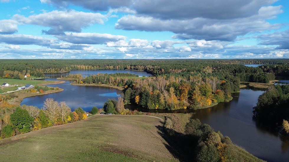 Aerial view of autumn forests and winding lakes under a blue sky in northern Poland
