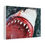 Thumbnail: Great White Jaws Canvas Print