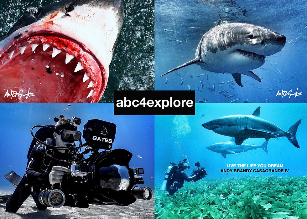 ABC4EXPLORE_BACKGROUND.JPG