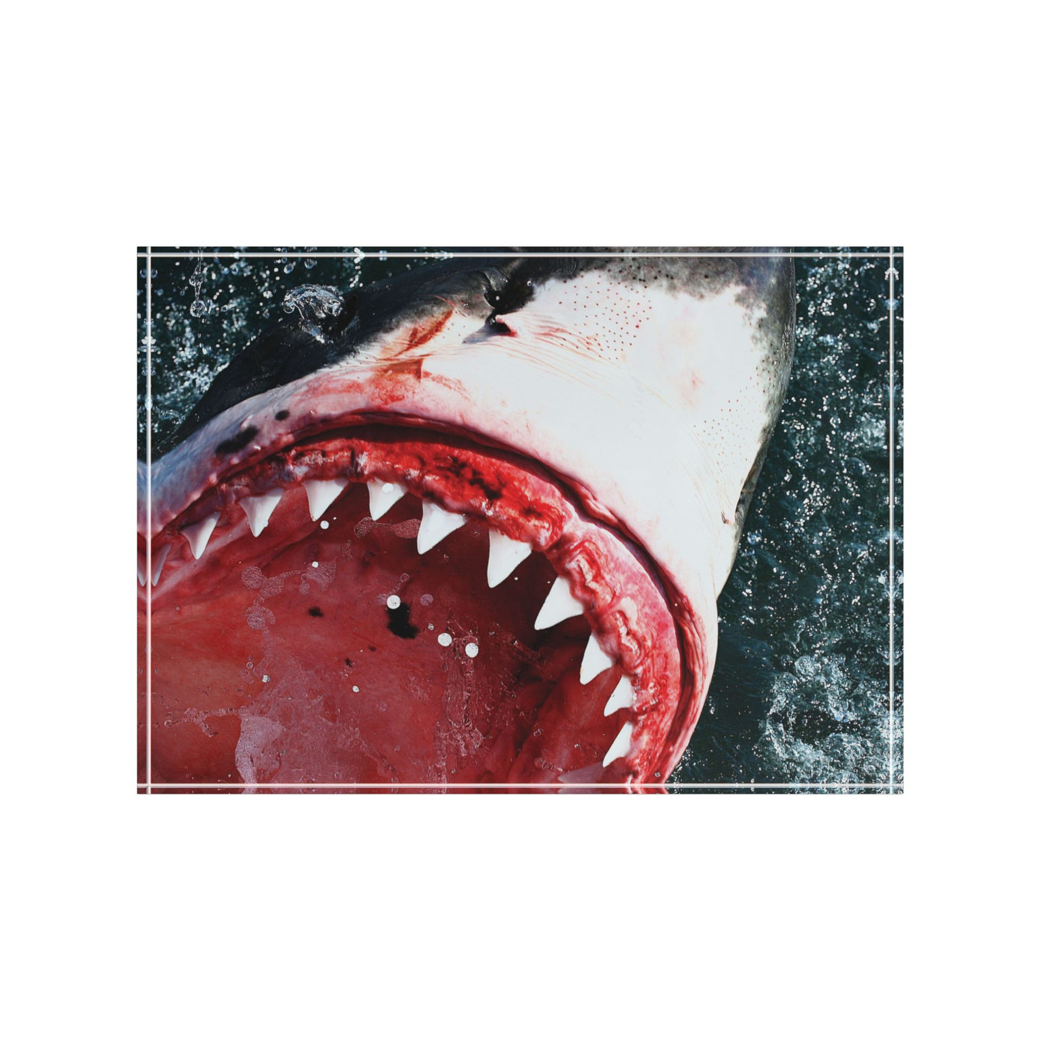 "GREAT WHITE SMILE" Acrylic Print