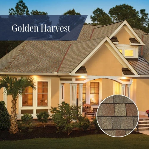 Golden Harvest architectural asphalt shingle roof installed on a residential home in Rhode Island