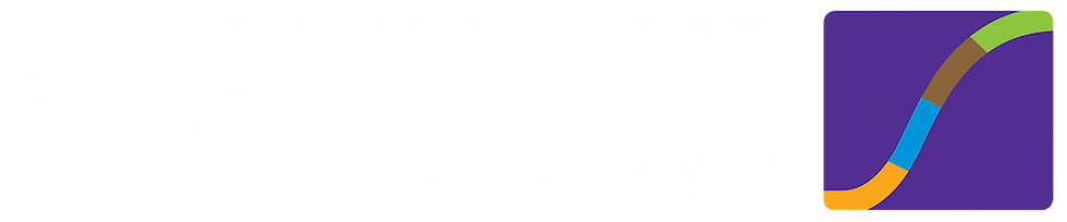 Scaling Up Assessment