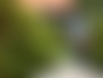 landscaper maintaining property