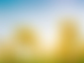 Spring Property Walkthrough Checklist for Owners and Tenants