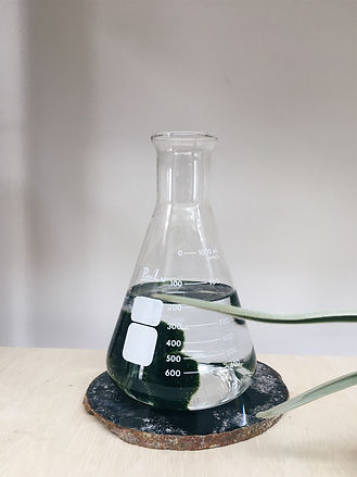 marimo_lab.jpeg