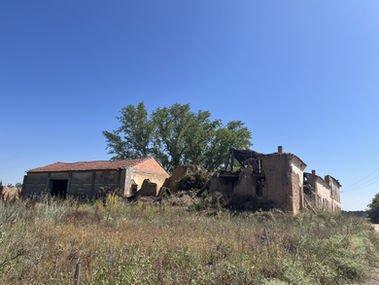 IMG_2158 en tamaño grande.jpeg