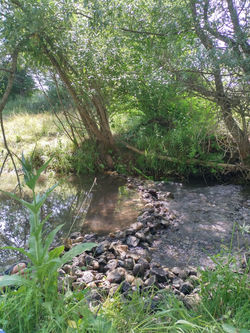 IMG_20210709_163545_HDR