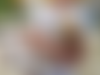 Aug 14, 2024 – Day 78 - Wilbur found a Home