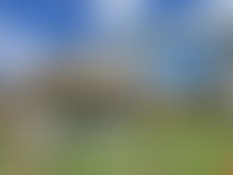 🎉 Thank you for being part of this dream!