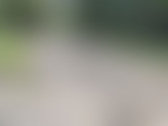 January 5, 2025 - Ministry UPDATE – More than halfway there!