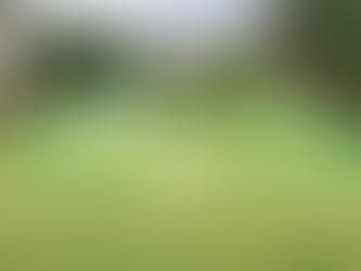 December 2, 2024 – Day 188-*Building a Church*