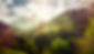 aff1fe69-bf69-4057-8c24-1040b94d78f6.jpg