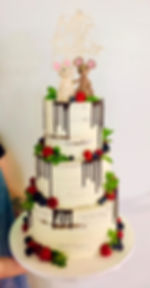 Semi Naked Cake Mäuse