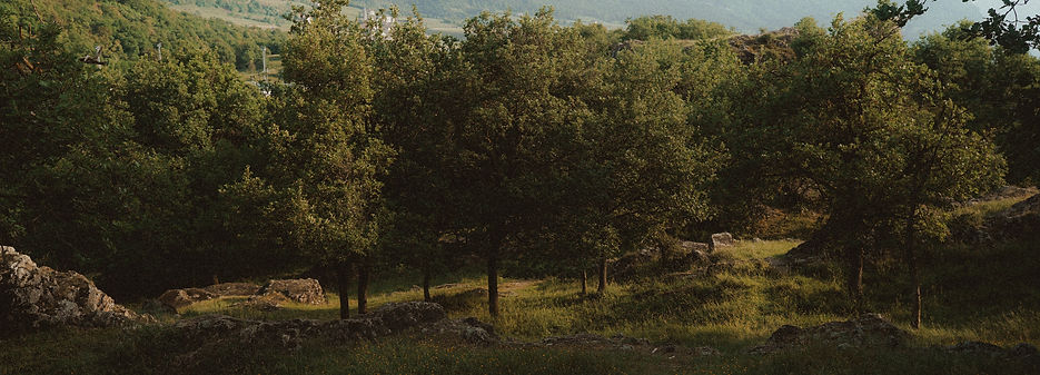 sunnymeraki-131 2_edited.jpg