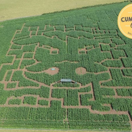2021 Maze