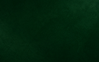 About - Banner.png