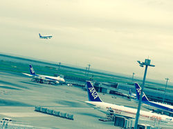 作品名【魅せられて】