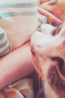 作品名【君と二人】