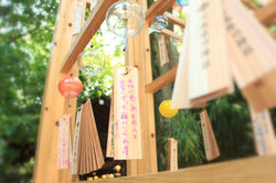 作品名【音色】