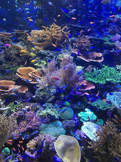 作品名【きらきら】