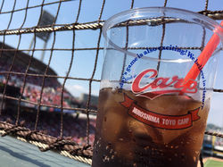 作品名【一生ついて行く】