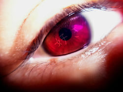 作品名【目は口ほどに】