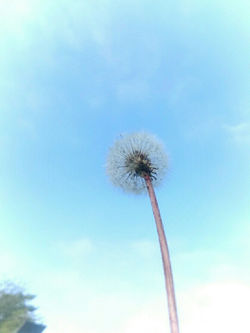 作品名【届け、】