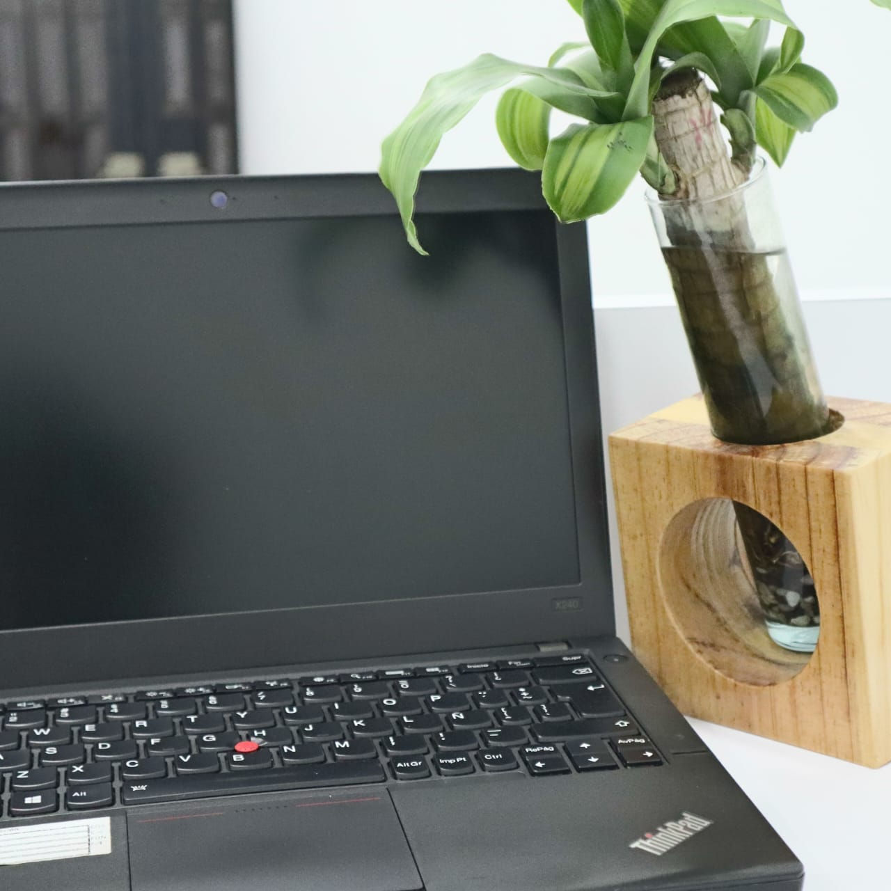 Lenovo ThinkPad Exhibición