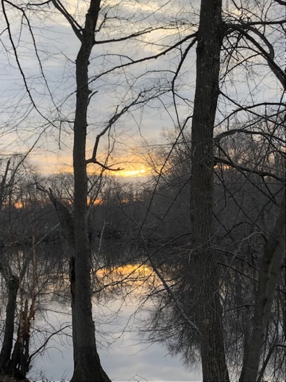 Photo: "Twilight Sky," woods in winter twilight, two bare trees silhouetted in the foreground, then sky of soft blue and gold, plus other trees, reflected in a lake. Photo by the author, Mary Elizabeth Moore.