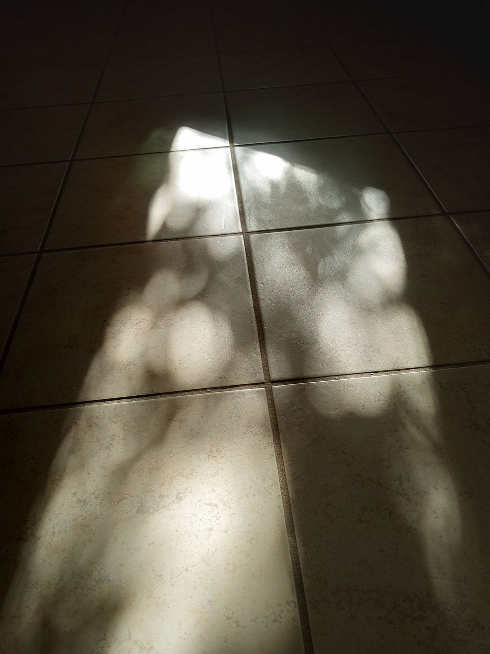 Photo: mottled shadows of beige and white on a tiled floor, background of black, photo by Isabel Chenot.