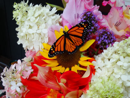 Tight Bud Waiting to Unfold: Essay by Lynda McKinney Lambert